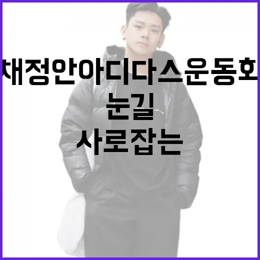 채정안 아디다스 운동화로 눈길을 사로잡는 방법 - 요약