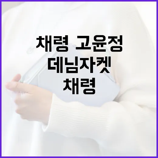 채령·고윤정 스타일로 데님 자켓을 멋지게 입는 방법 - 요약