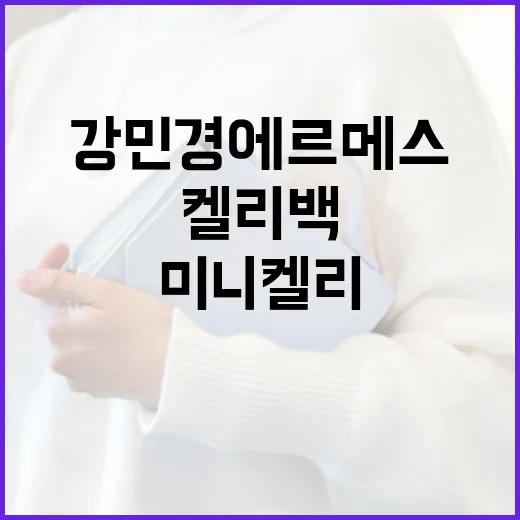 강민경 에르메스 미니 켈리백 가격을 알아보는 방법 - 요약