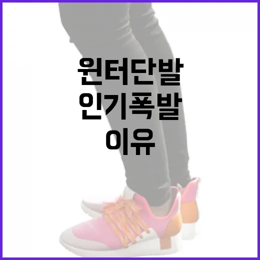 윈터 단발이 인기 폭발한 이유와 스타일링 팁 - 요약
