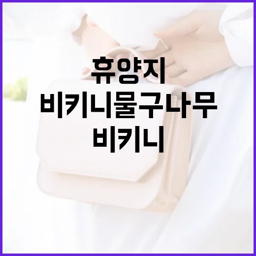 휴양지에서 비키니 물구나무 서기를 완벽하게 하는 방법