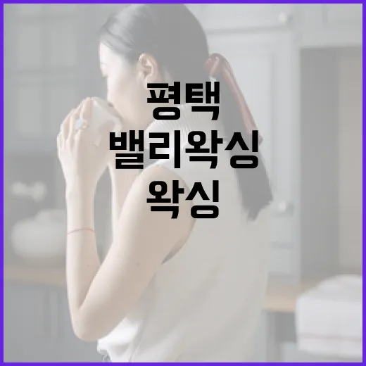 평택에서 밸리왁싱 잘하는 곳 찾는 방법 - 요약