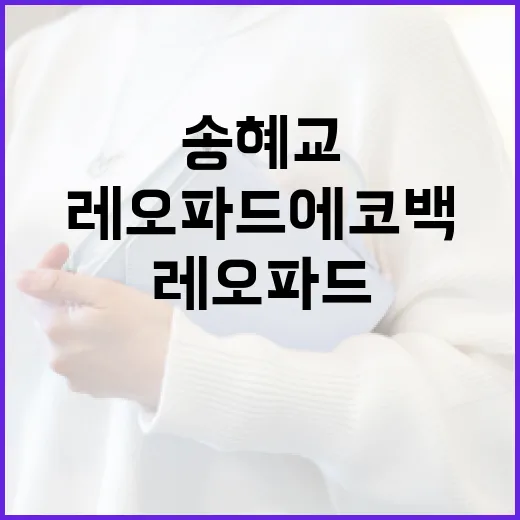 송혜교처럼 레오파드 에코백 스타일링하는 방법 - 요약