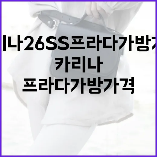 카리나 26SS 프라다 가방 가격을 알아보는 방법 - 요약