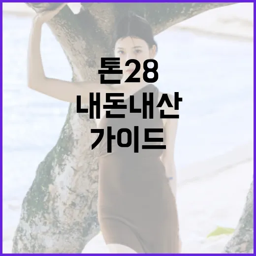 톤28을 추천하는 내돈내산 가이드 - 요약