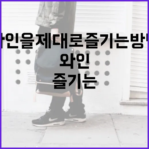 타낫 와인을 제대로 즐기는 방법 - 요약