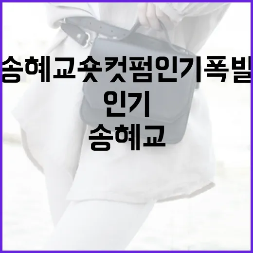 송혜교 숏컷펌 인기 폭발! 스타일링 방법과 관리 팁 - 요약