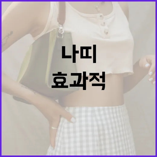 나띠를 효과적으로 활용하는 방법 - 요약