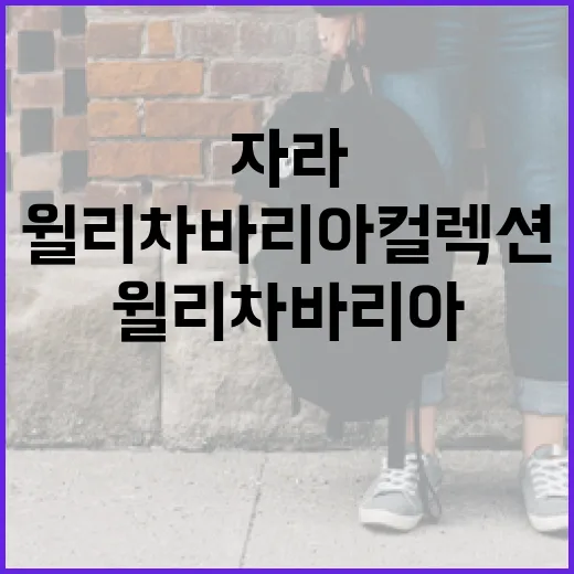 자라 윌리 차바리아 컬렉션 리뷰: 스타일과 품질을 경험하는 방법 - 요약