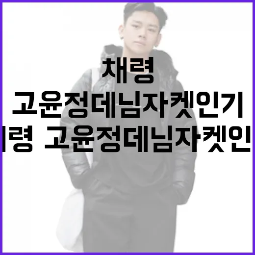 채령·고윤정 데님 자켓 인기를 얻는 방법 - 요약