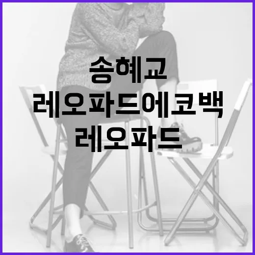 송혜교처럼 레오파드…