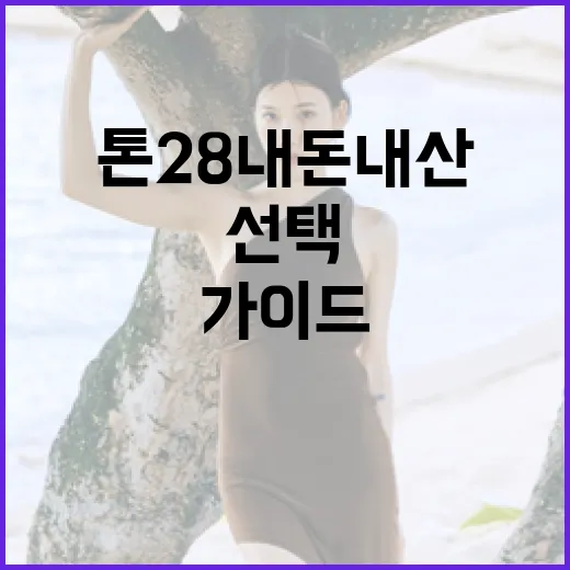 톤28 내돈내산 후회 없는 선택을 위한 가이드 - 요약