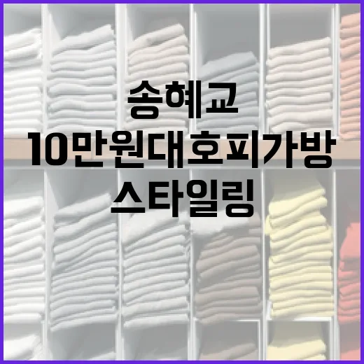 송혜교처럼 10만원대 호피 가방 스타일링하는 방법 - 요약