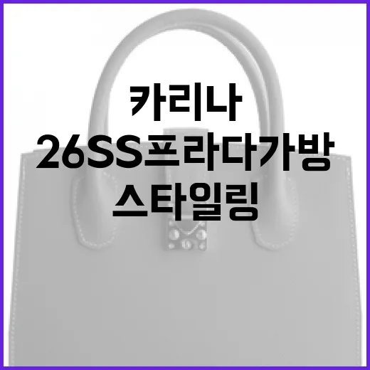 카리나가 추천한 2…