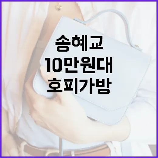 송혜교 스타일 따라…