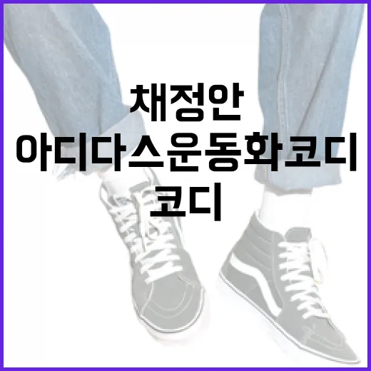 채정안 스타일로 아디다스 운동화 코디하는 방법 - 요약