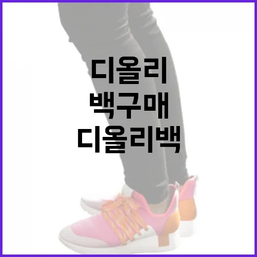 700만원대 디올리 백 구매를 고려하는 방법 - 요약