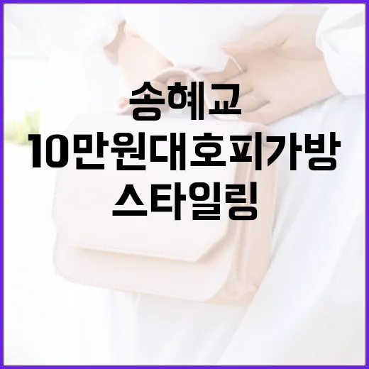 송혜교처럼 10만원대 호피 가방으로 스타일링하는 방법 - 요약