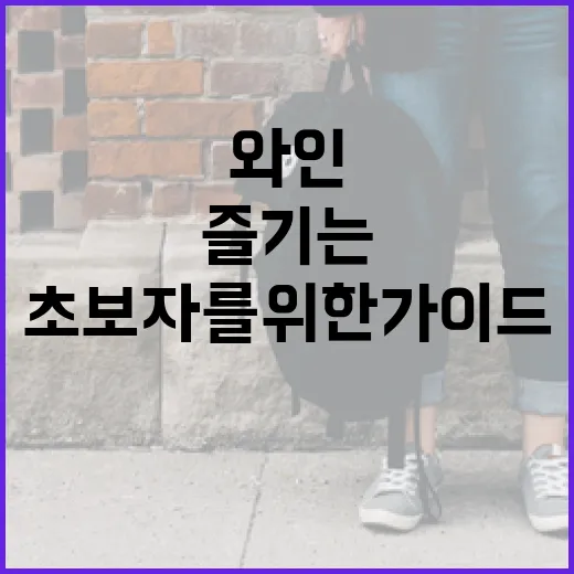 타낫 와인을 즐기는 방법: 초보자를 위한 가이드 - 요약