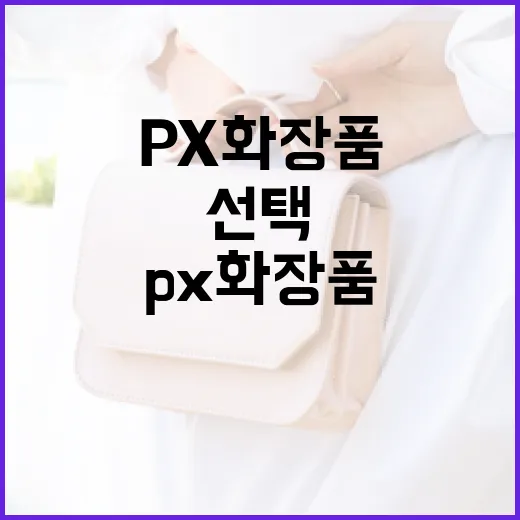 PX 화장품을 쉽게 선택하는 방법 - 요약
