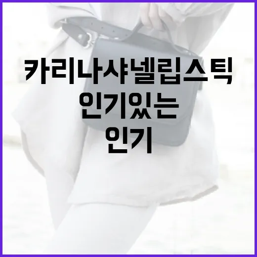 카리나 샤넬 립스틱이 인기 있는 이유와 구매 가이드 - 요약