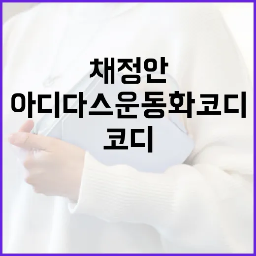 채정안 스타일로 아디다스 운동화 코디하는 방법 - 요약