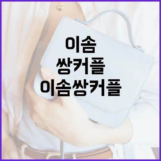 이솜 쌍커플 스타일을 따라하는 방법 - 요약