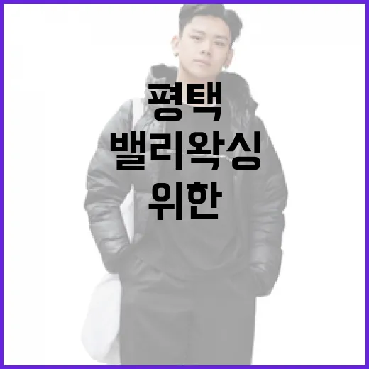 평택에서 밸리왁싱을 받는 방법: 초보자를 위한 가이드 - 요약