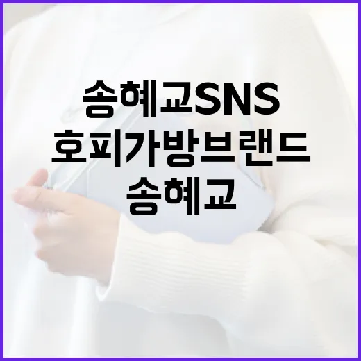 송혜교 SNS에서 …