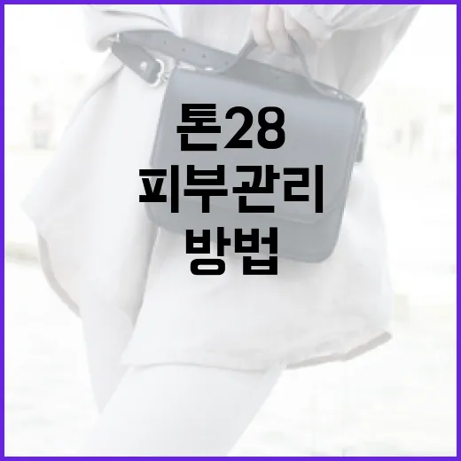 톤28을 활용하여 피부 관리하는 방법 - 요약