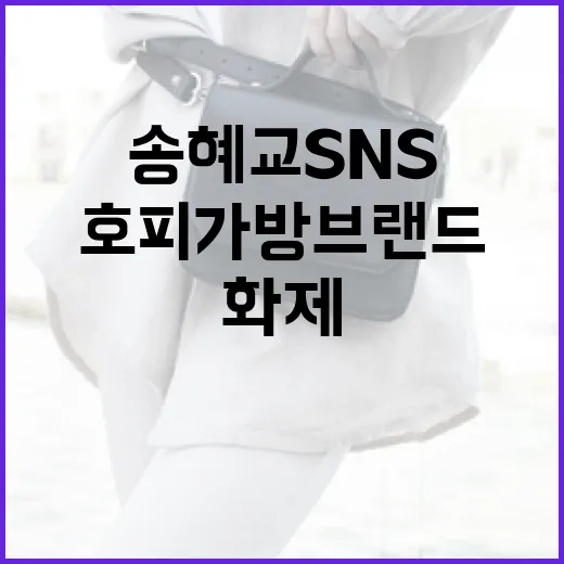 송혜교 SNS에서 화제가 된 호피 가방 브랜드를 알아보는 방법 - 요약