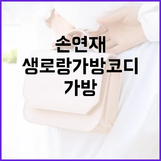 손연재처럼 생로랑 가방 코디하는 방법 - 요약