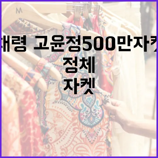 채령·고윤정 500만 자켓의 정체를 알아보는 방법 - 요약