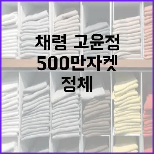 채령·고윤정의 500만 자켓의 정체를 알아보는 방법 - 요약