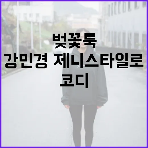 벚꽃룩 따라잡기: 강민경·제니 스타일로 코디하는 방법 - 요약