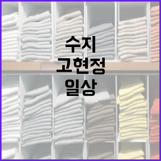 수지와 고현정처럼 세련되게! 일상에서 인기 있는 백팩 선택하는 방법 - 요약