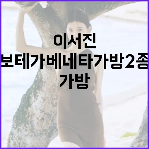 이서진처럼 스타일리시하게: 보테가베네타 가방 2종 선택 방법 - 요약
