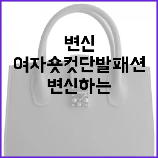 화사하게 변신하는 방법: 여자 숏컷 단발 패션 가이드 - 요약