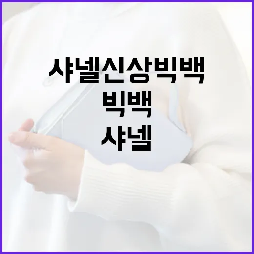 샤넬 신상 빅백을 스타일리시하게 활용하는 방법 - 요약