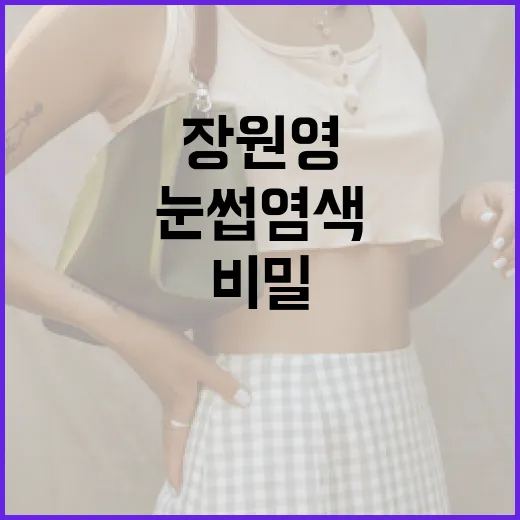 장원영처럼 눈썹 염색하는 방법: 비밀 공개 - 요약