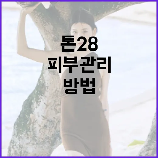 톤28 내돈내산으로 효과적으로 피부 관리하는 방법 - 요약