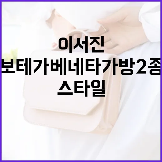 이서진 스타일 따라하기: 보테가베네타 가방 2종 활용법 - 요약
