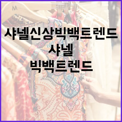 샤넬 신상 빅백 트렌드를 따라잡는 방법 - 요약