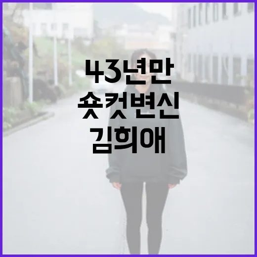 김희애의 숏컷 변신, 43년 만에 새로운 스타일 도전하는 방법 - 요약
