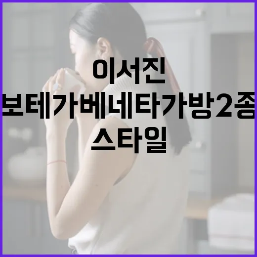이서진 스타일로 보테가베네타 가방 2종 활용하는 방법 - 요약