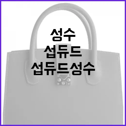 섭듀드 성수 방문 시 꼭 해야 할 것들 - 요약