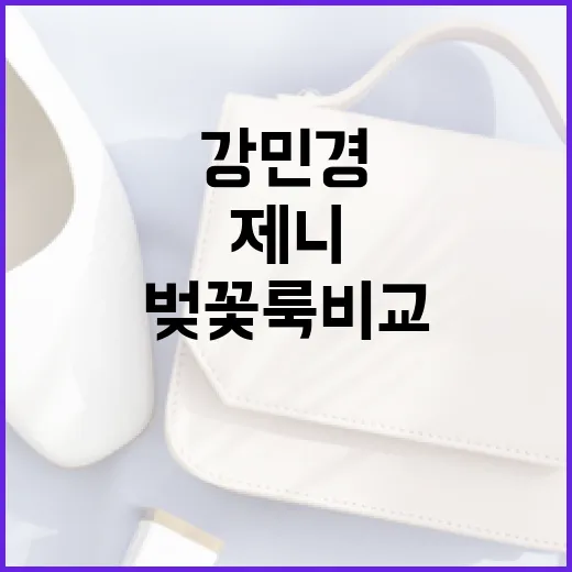 강민경과 제니의 벚꽃룩 비교하는 방법 - 요약