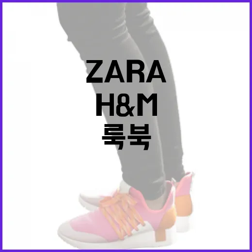 ZARA와 H&M의 룩북을 비교하는 방법 - 요약