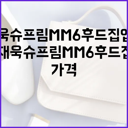 이재욱 슈프림 MM6 후드집업 가격 알아보는 방법 - 요약