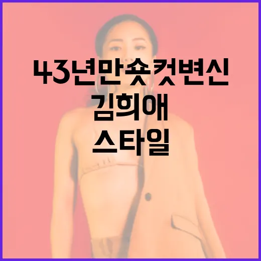 김희애의 43년 만 숏컷 변신: 그녀의 스타일 변화를 알아보는 방법 - 요약